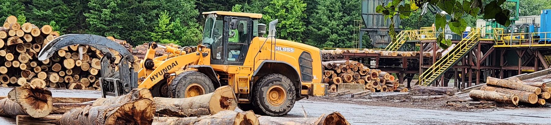 A yellow wheel loader working at a log yard with piles of logs.