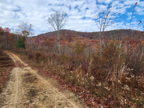 A dirt road leading to a mountain in the fall.