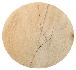 A circular piece of wood with a cut in it.