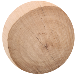 A circular piece of wood with a hole in it.